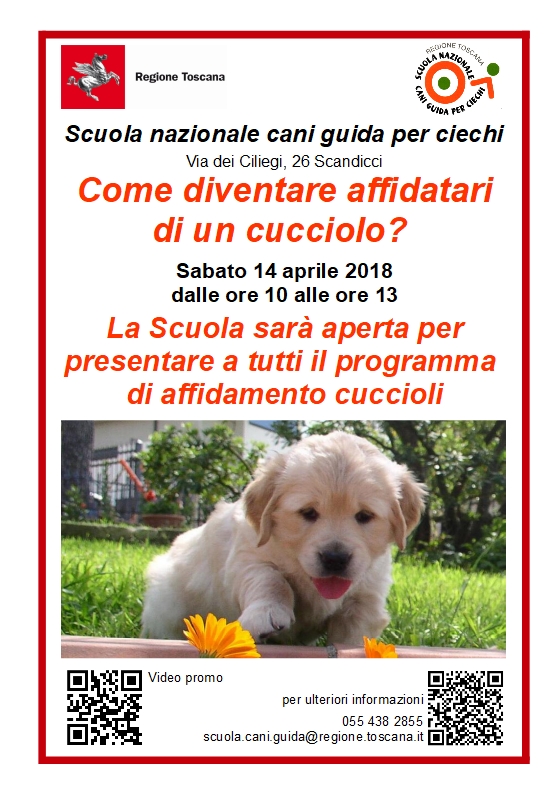 Immagine La Scuola Cani Guida il 14 aprile apre i cancelli della sede di Scandicci